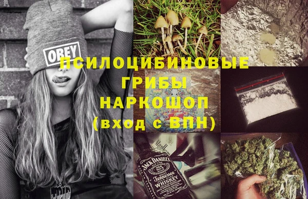 спиды Алексин