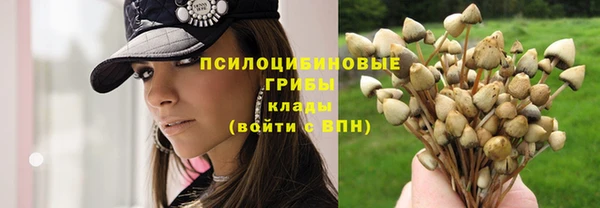 спиды Алексин