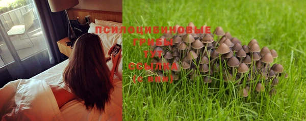 молекула духа Гусь-Хрустальный
