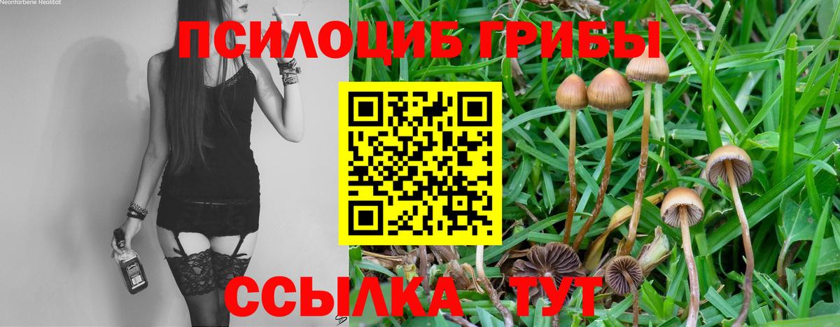 Галлюциногенные грибы мицелий Сургут