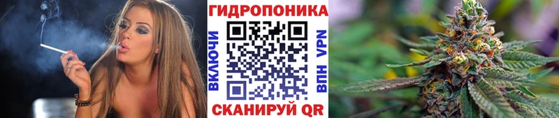 МАРИХУАНА ГИДРОПОН  Сургут 